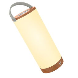 亞馬遜產(chǎn)品PP套圖設(shè)計(jì) 臺燈、野外燈與廚衛(wèi)雜品視覺營銷解析